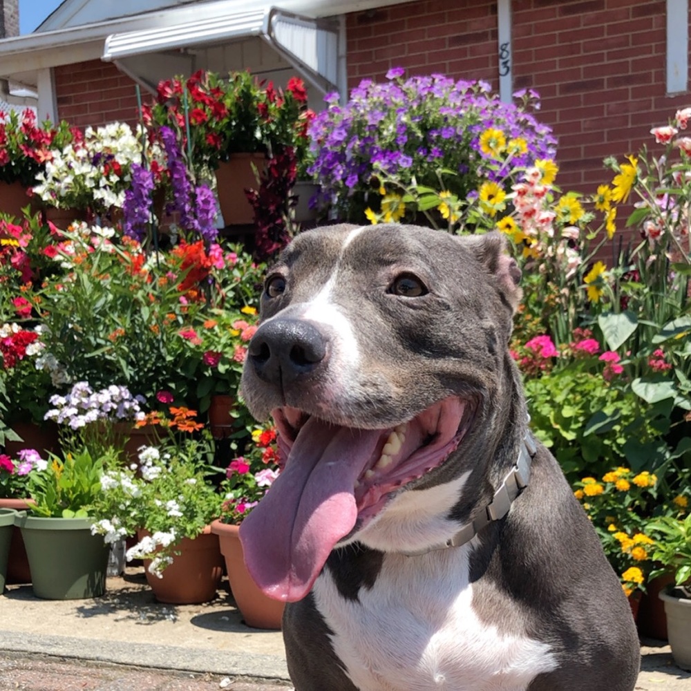 Meet your Posher, Jhosber